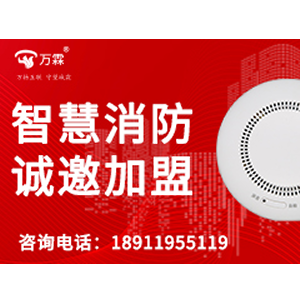 Partnering with China's smart detector tester Manufacturer: A Fire Safety Distributor Success S